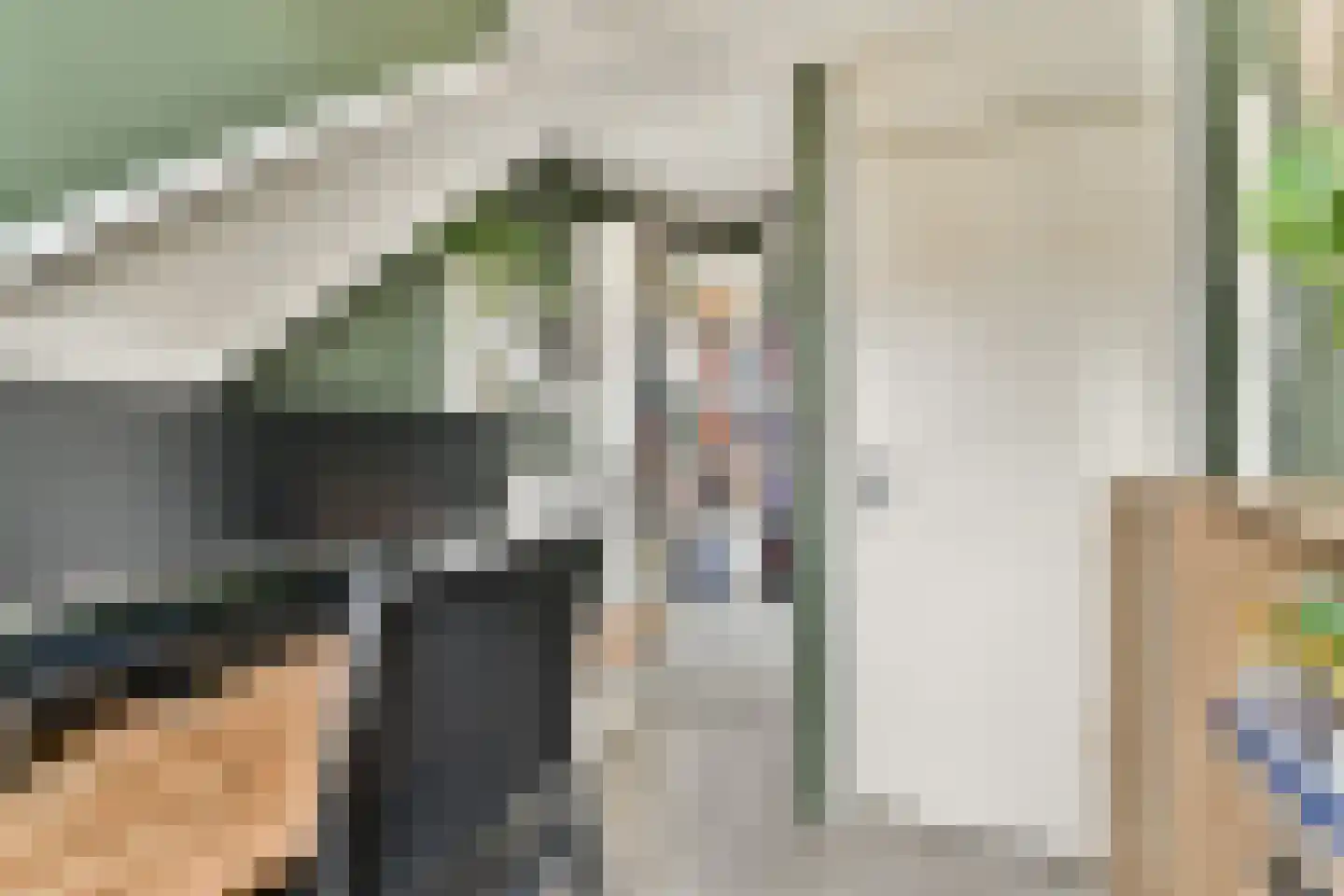 Smetanastraat 19 Spijkenisse thumbnail 16
