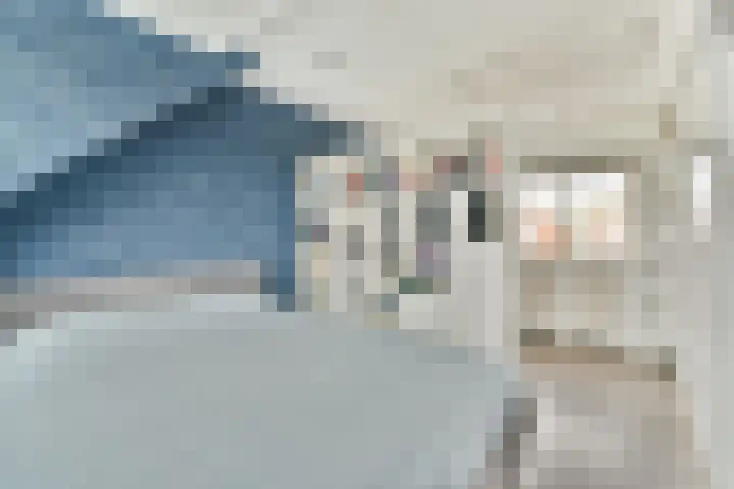 Smetanastraat 19 Spijkenisse thumbnail 20