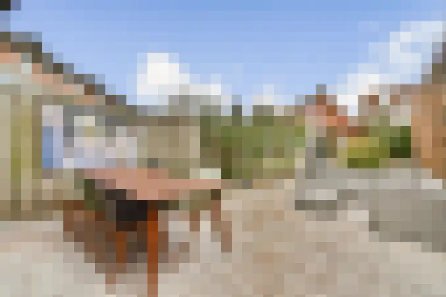 Smetanastraat 19 Spijkenisse thumbnail 22