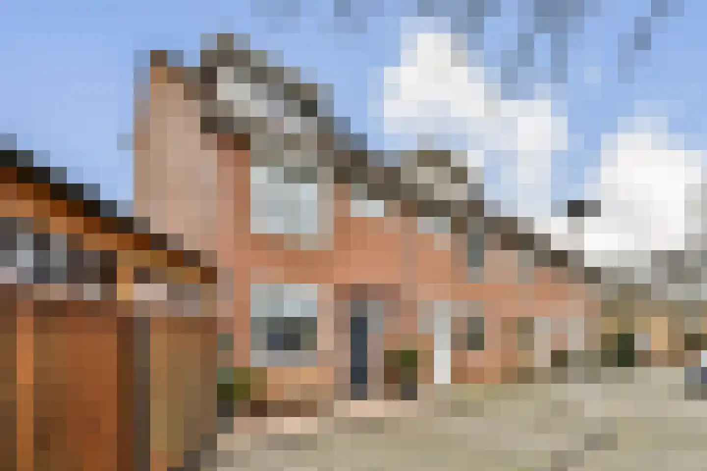 Smetanastraat 19 Spijkenisse thumbnail 24