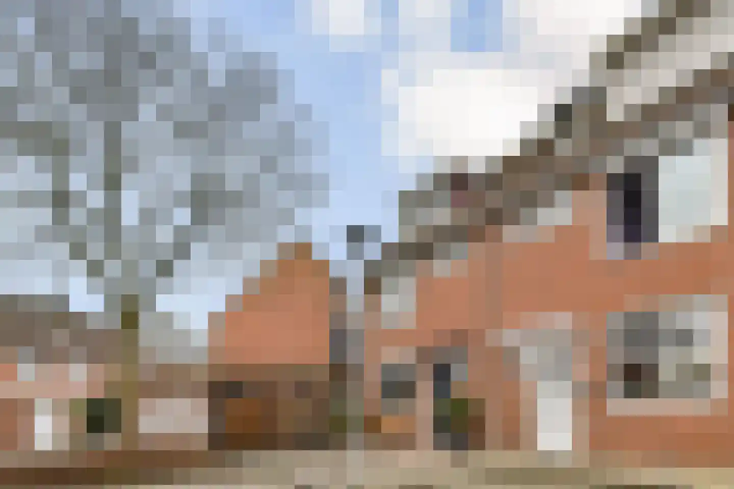 Smetanastraat 19 Spijkenisse thumbnail 25
