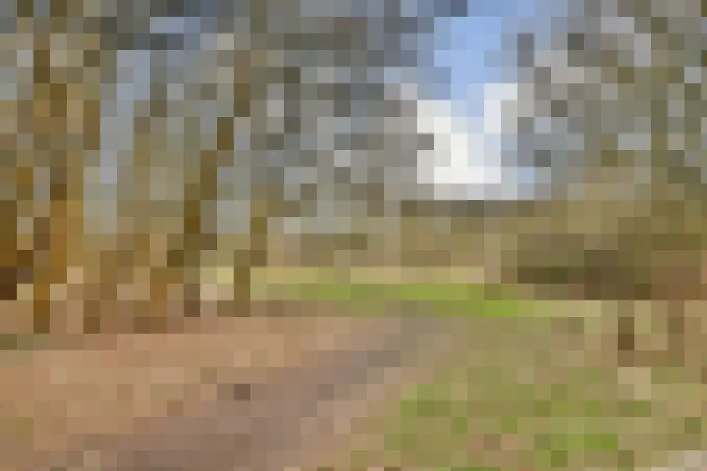 Smetanastraat 19 Spijkenisse thumbnail 27