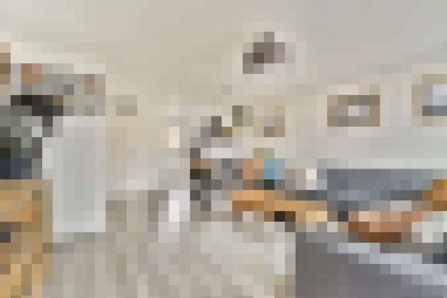Smetanastraat 19 Spijkenisse thumbnail 8