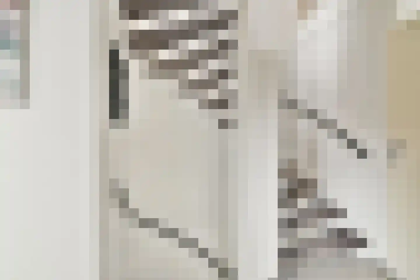 Smetanastraat 19 Spijkenisse thumbnail 9