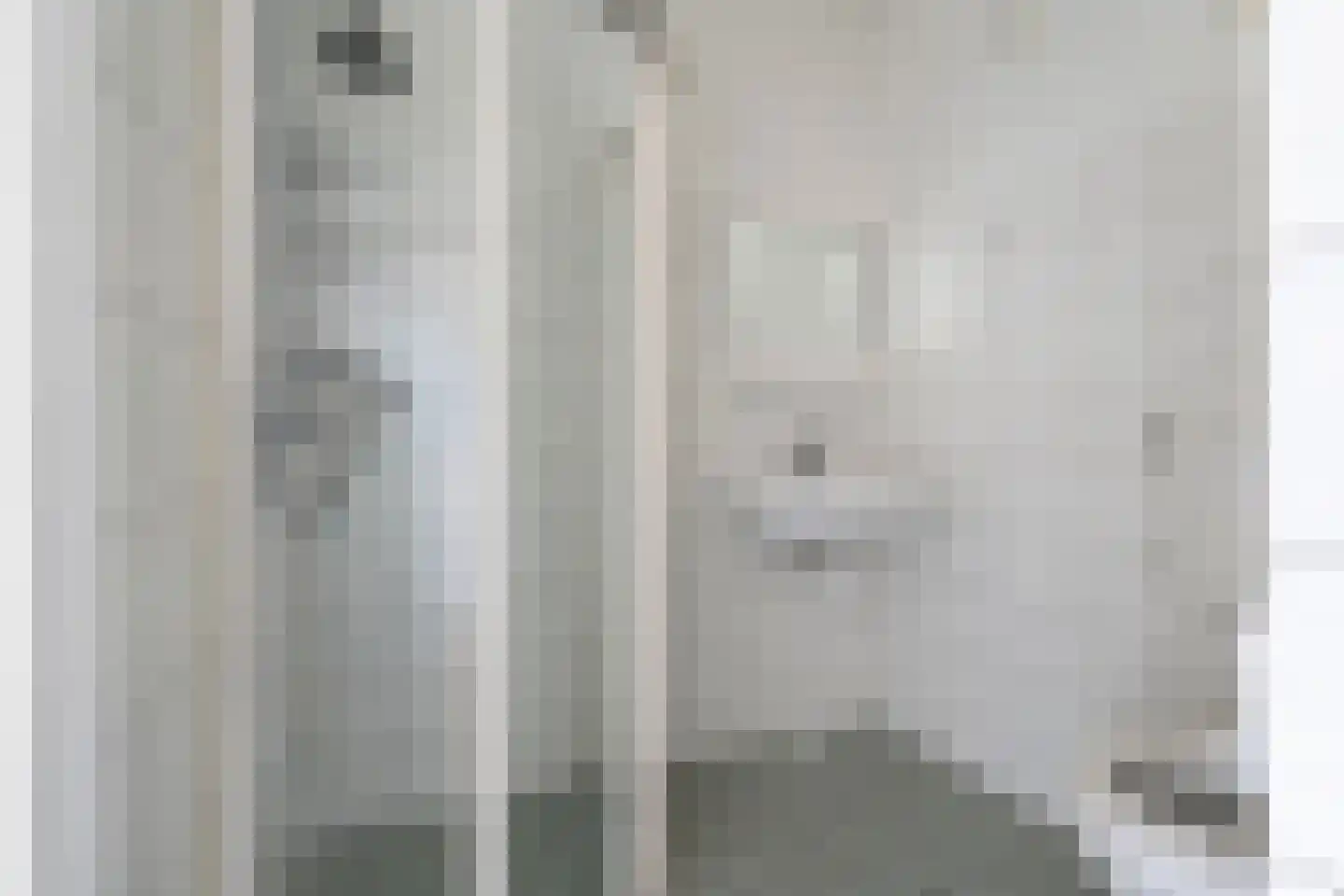 Smetanastraat 3 Almelo thumbnail 20