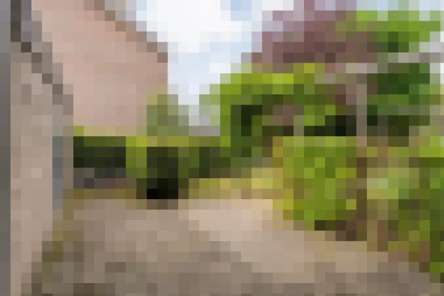 Smetanastraat 3 Almelo thumbnail 24
