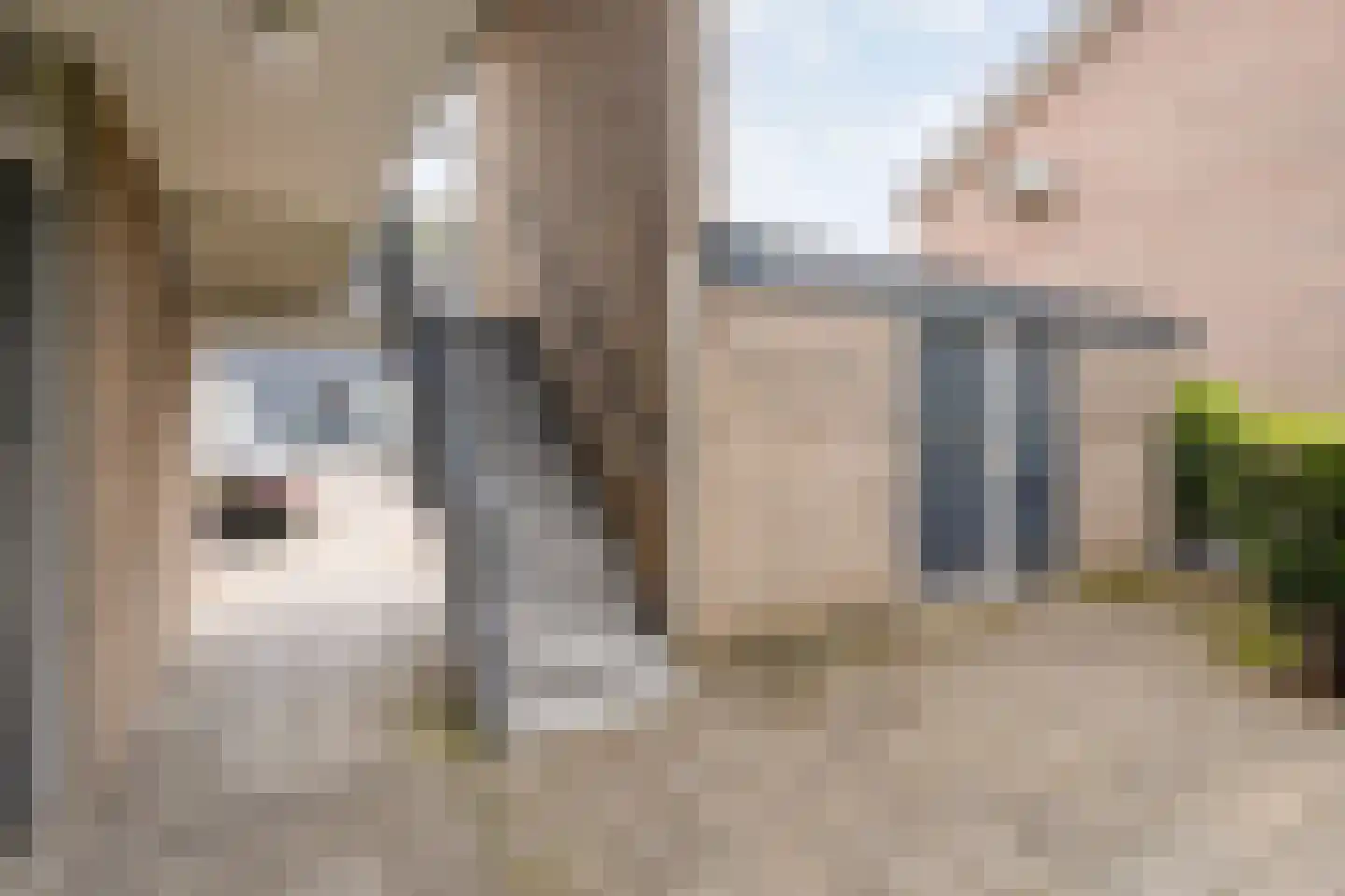 Smetanastraat 3 Almelo thumbnail 33