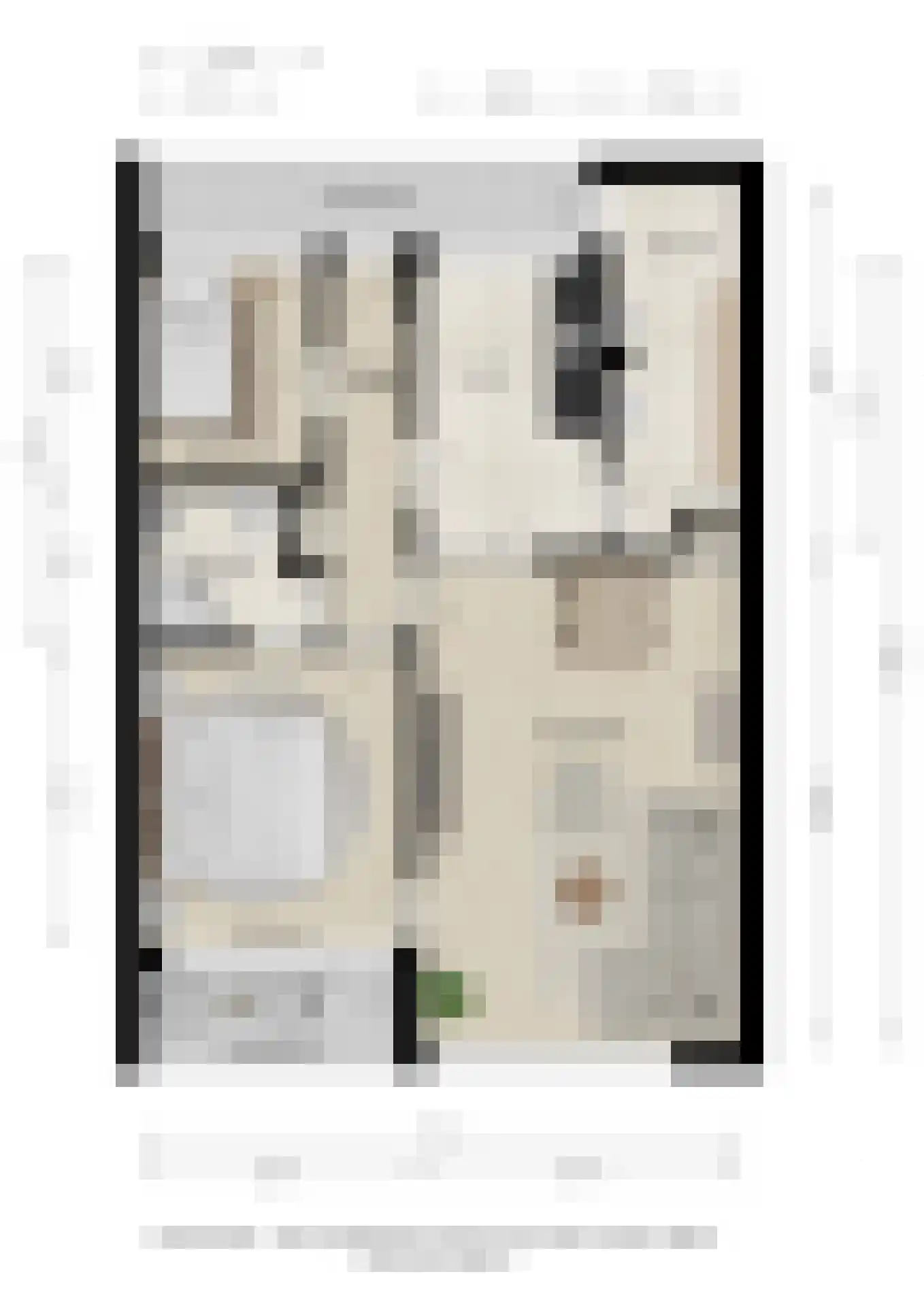 Smetanastraat 3 Almelo thumbnail 34