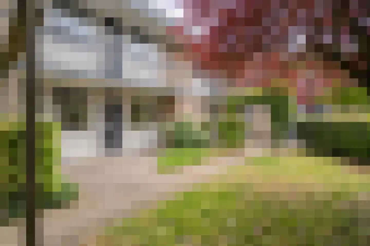 Smetanastraat 3 Almelo thumbnail 5