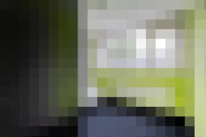 Smetanastraat 39 Almelo thumbnail 15