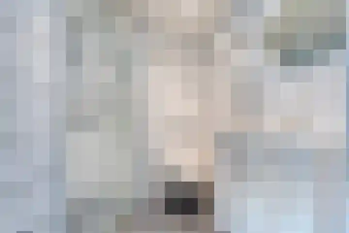 Smetanastraat 39 Almelo thumbnail 16