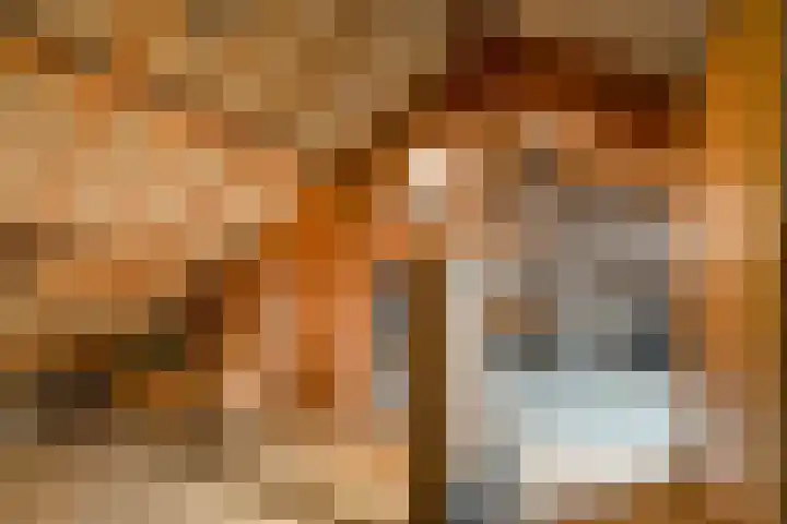Smetanastraat 39 Almelo thumbnail 21