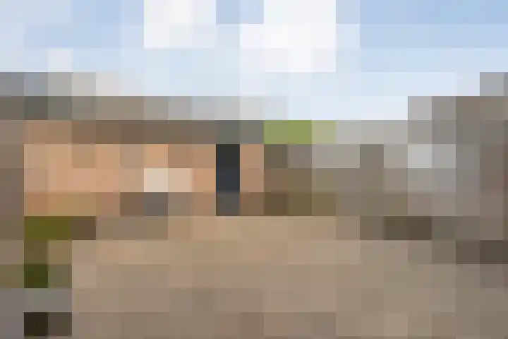 Smetanastraat 39 Almelo thumbnail 24