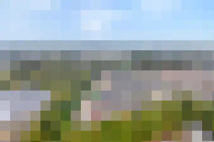 Smetanastraat 39 Almelo thumbnail 25