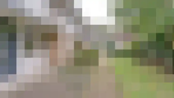 Smetanastraat 5 Almelo thumbnail 4