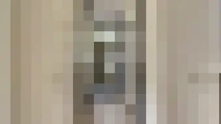 Smetanastraat 5 Almelo thumbnail 5