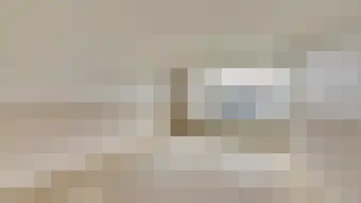 Smetanastraat 5 Almelo thumbnail 6
