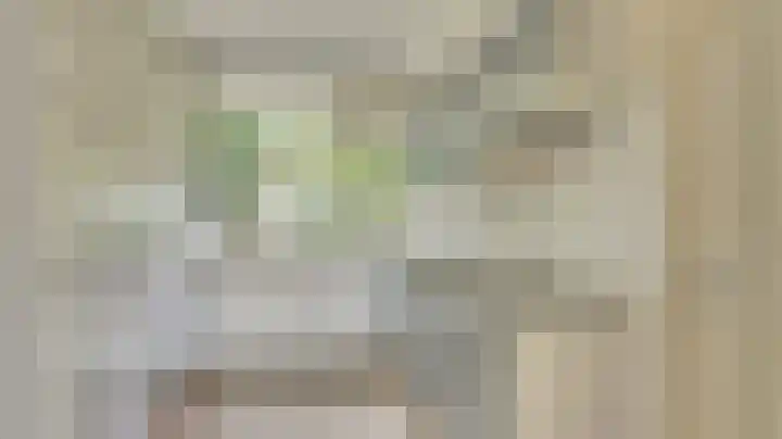 Smetanastraat 5 Almelo thumbnail 8
