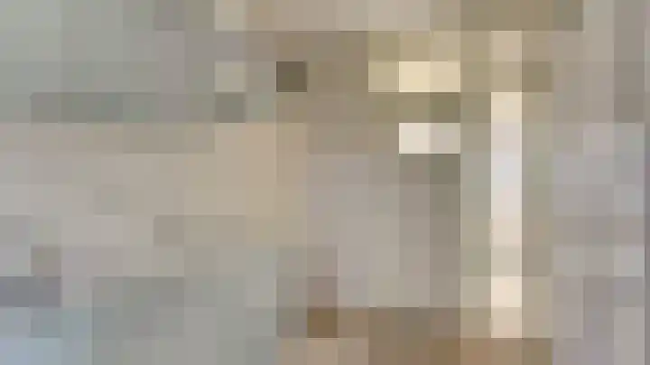Smetanastraat 5 Almelo thumbnail 9
