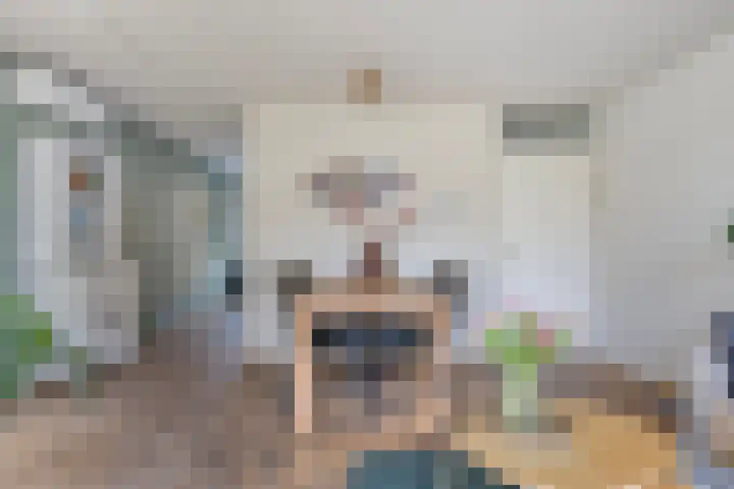 Smetanastraat 9 Zwolle thumbnail 11