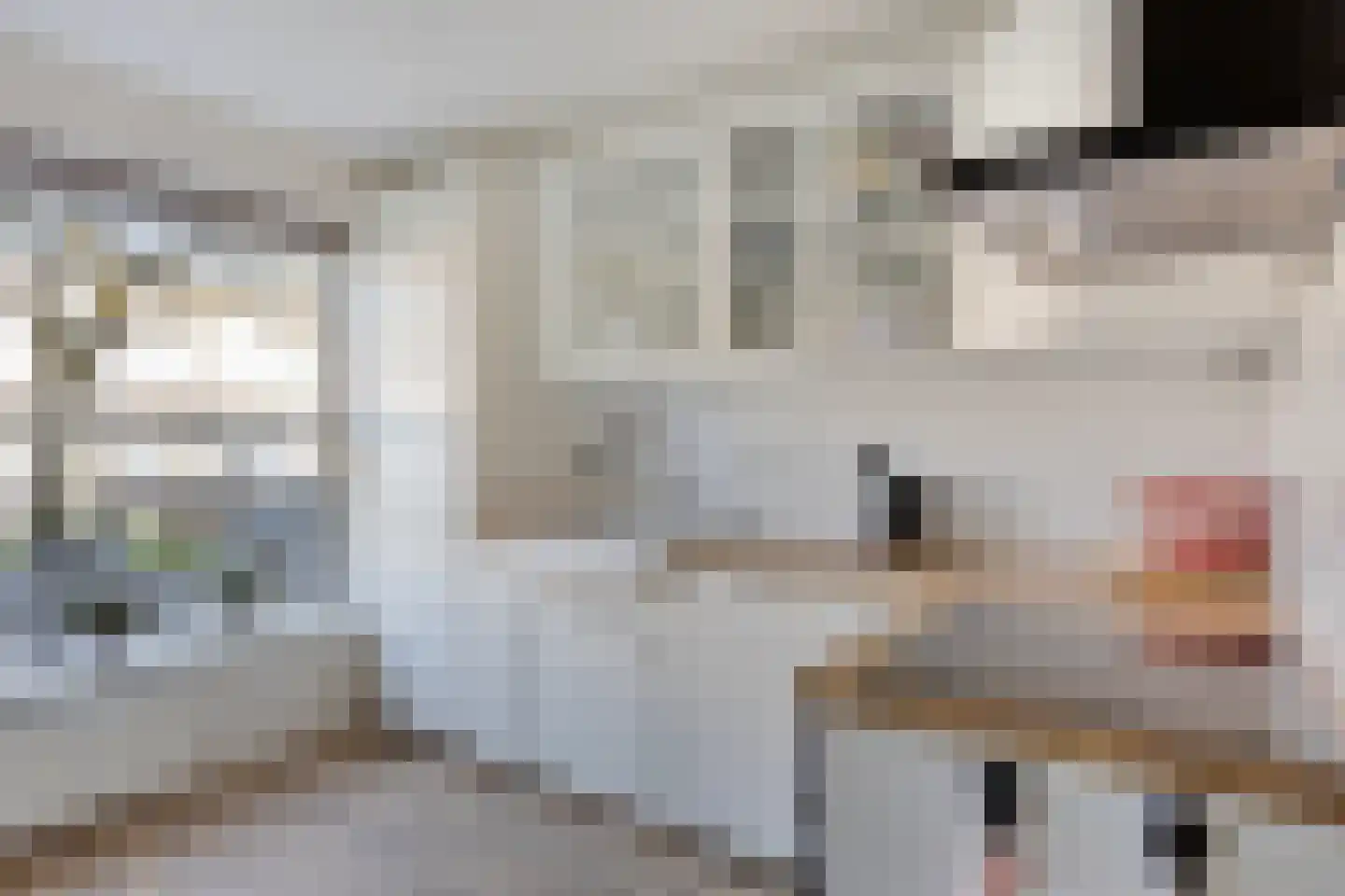 Smetanastraat 9 Zwolle thumbnail 13