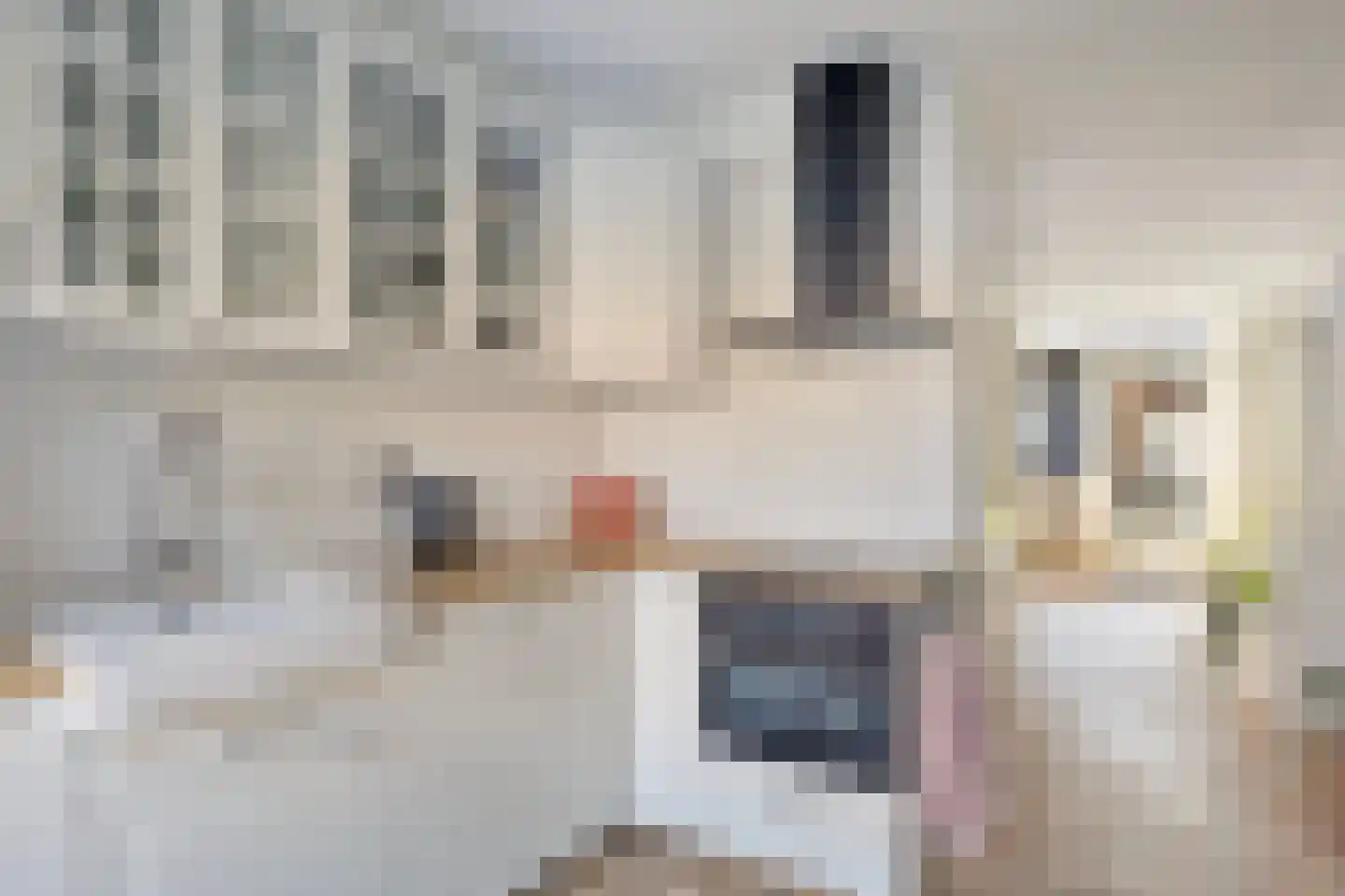 Smetanastraat 9 Zwolle thumbnail 15