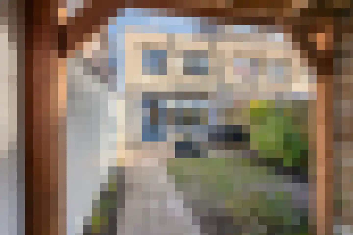 Smetanastraat 9 Zwolle thumbnail 27