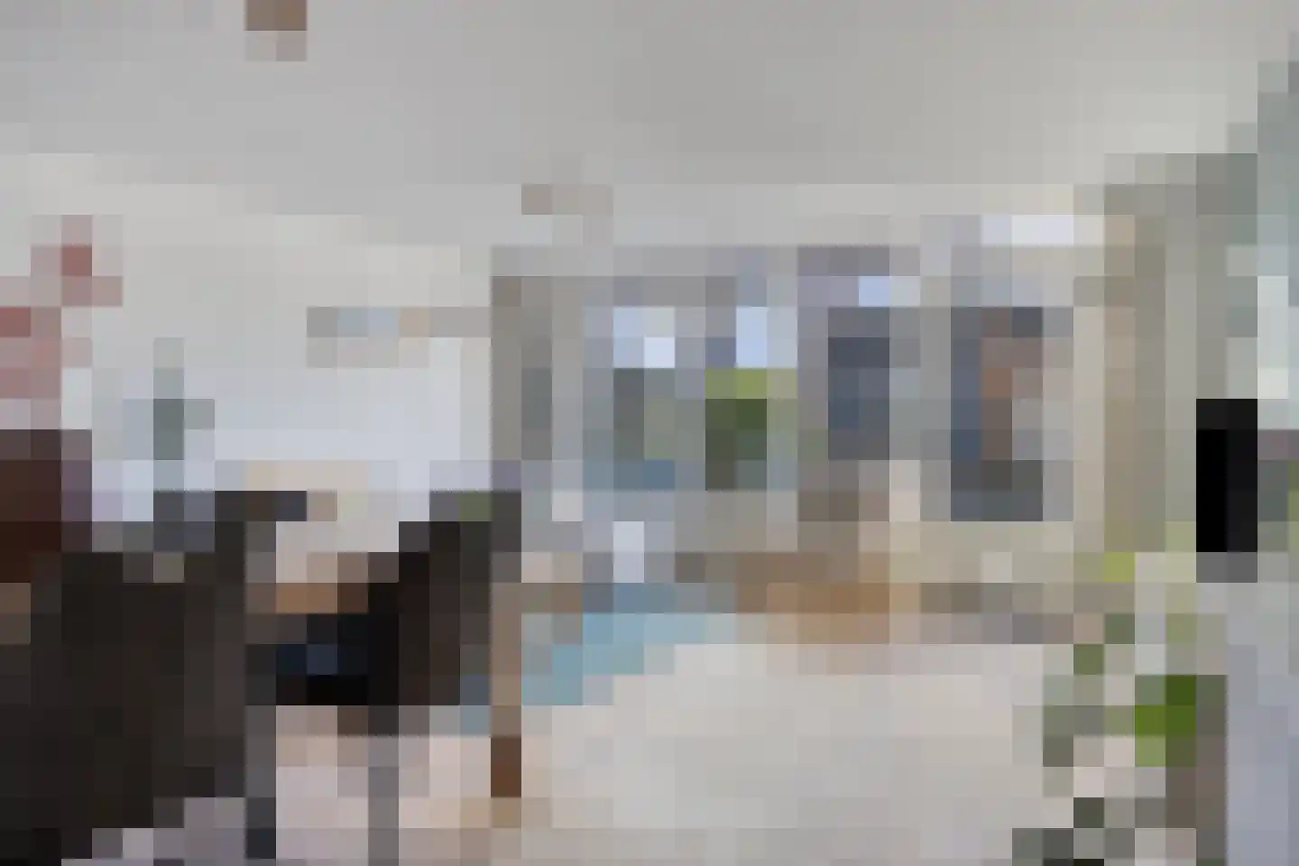 Smetanastraat 9 Zwolle thumbnail 6