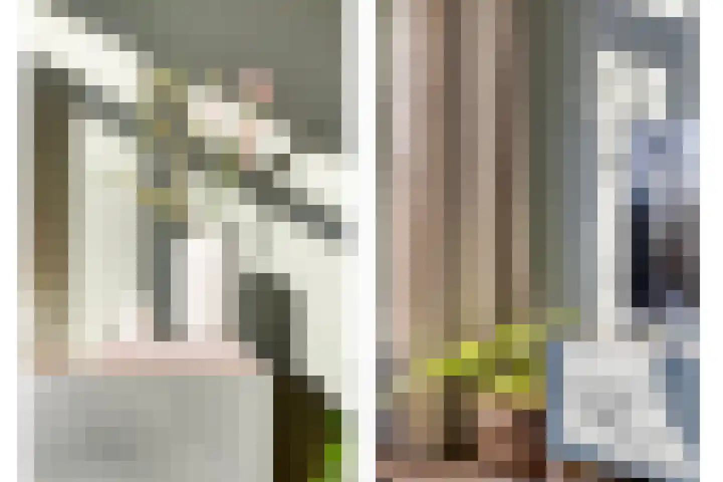 Smetanastraat 9 Zwolle thumbnail 8