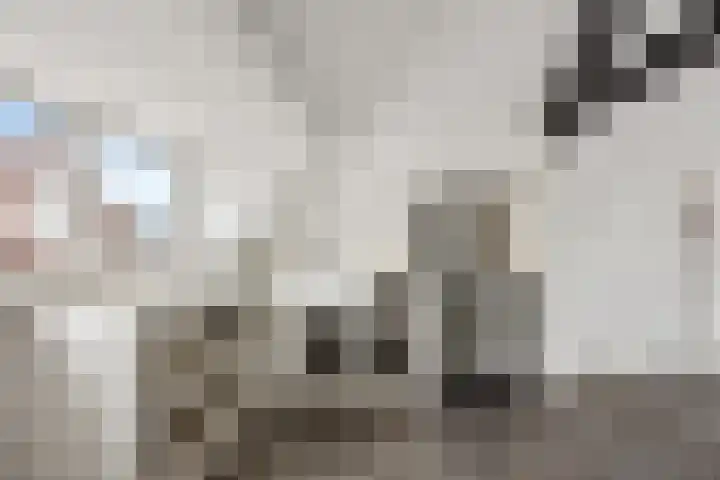 Smetiusstraat 10 B Nijmegen thumbnail 4