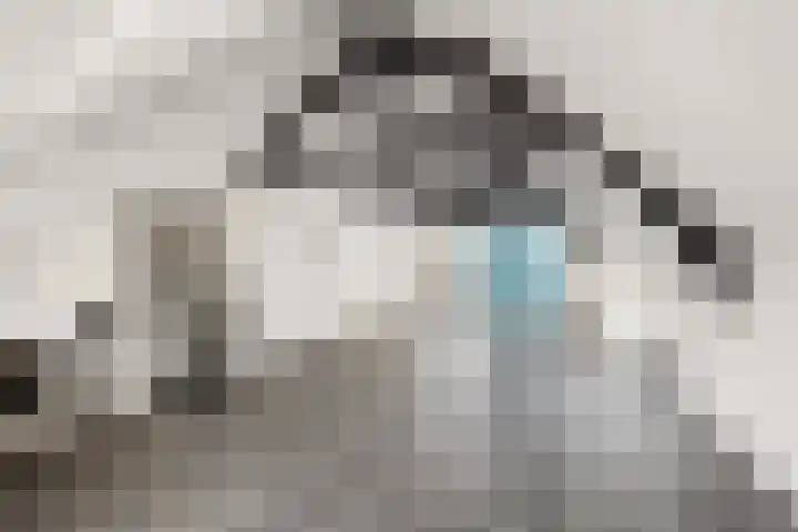 Smetiusstraat 10 B Nijmegen thumbnail 6