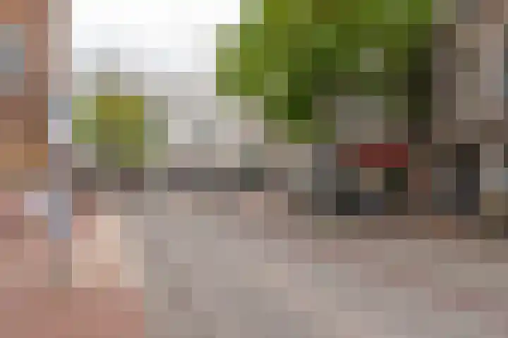 Smetiusstraat 4 A Nijmegen thumbnail 19