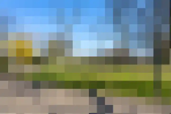 Smetiusstraat 4 A Nijmegen thumbnail 20