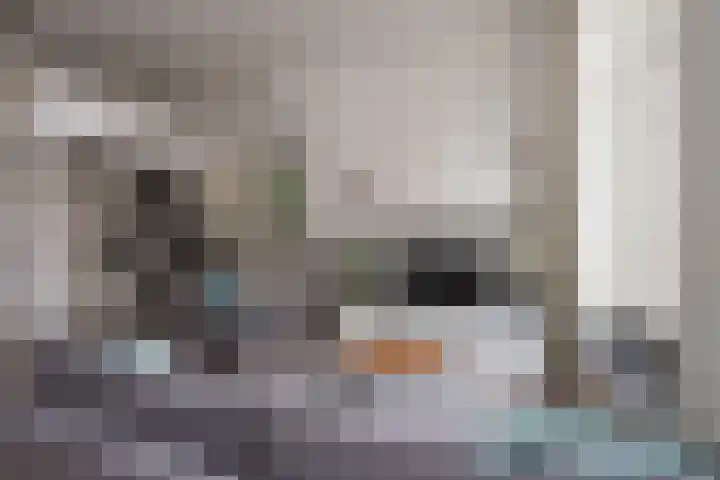 Smetiusstraat 4 A Nijmegen thumbnail 6