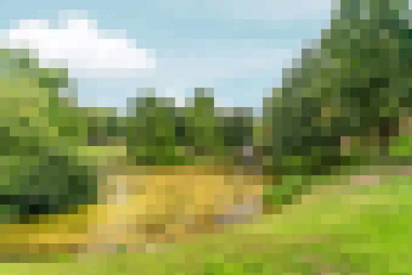 Smetiusstraat 4 D Nijmegen thumbnail 23