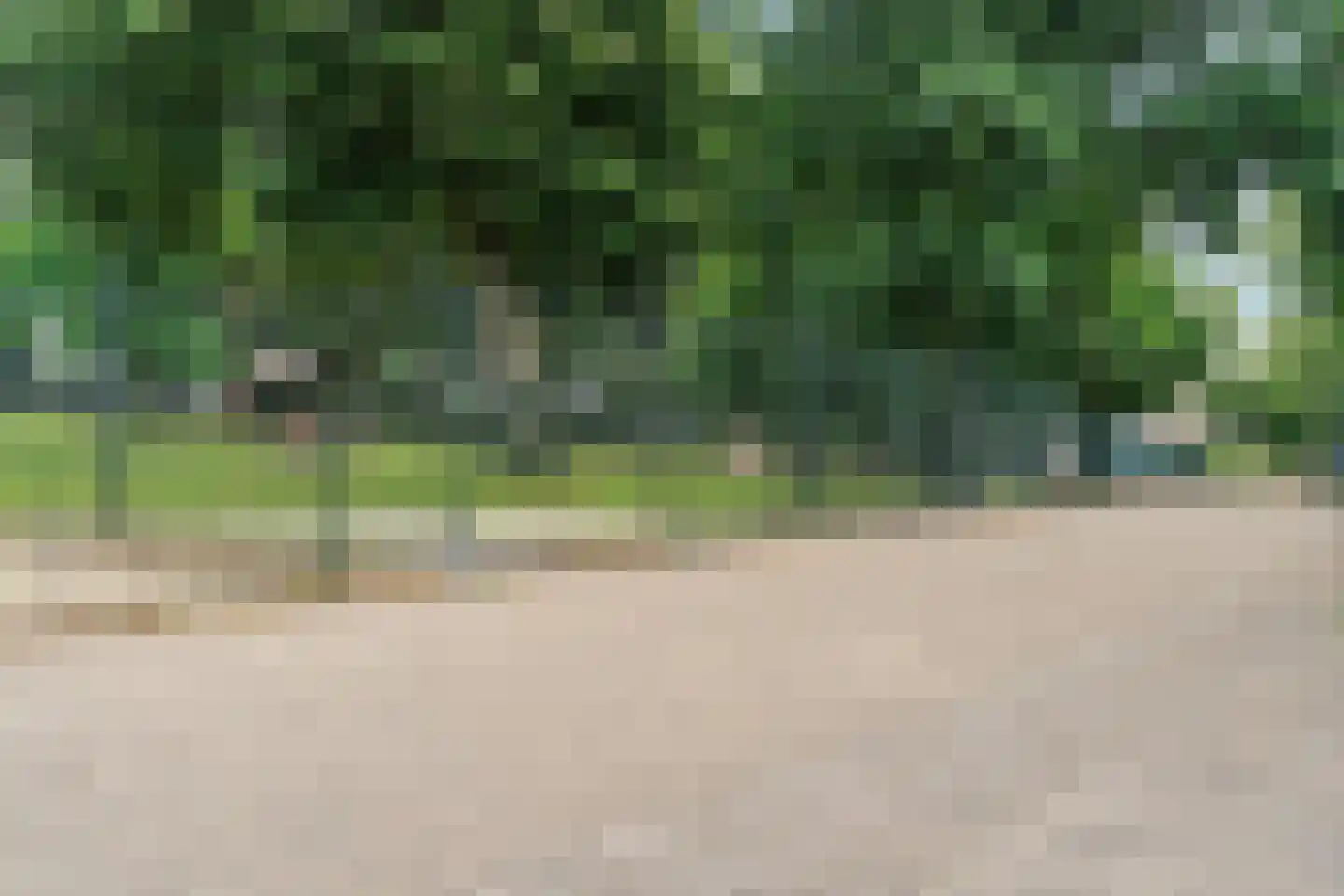 Smetiusstraat 4 D Nijmegen thumbnail 24