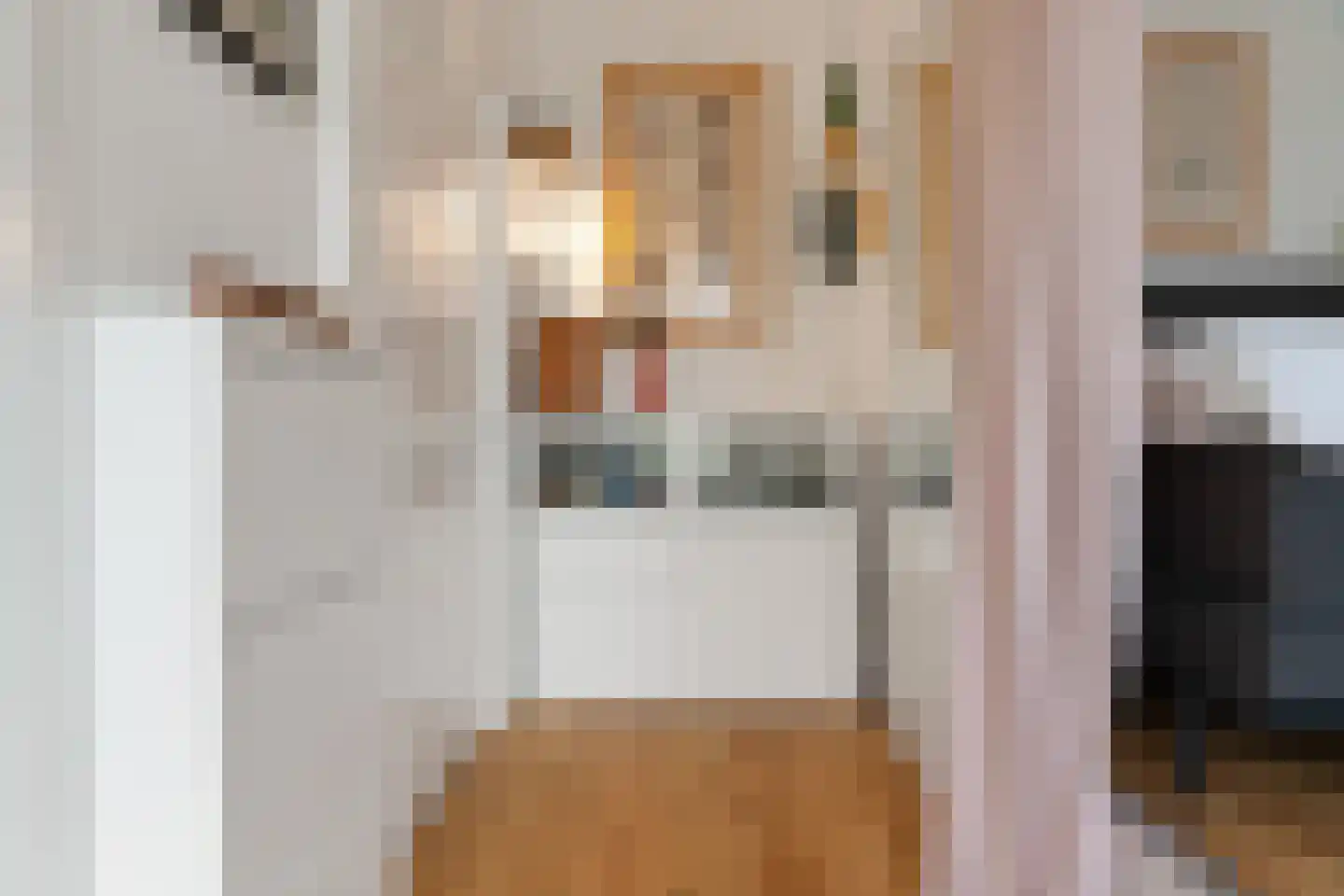 Smetiusstraat 4 D Nijmegen thumbnail 8
