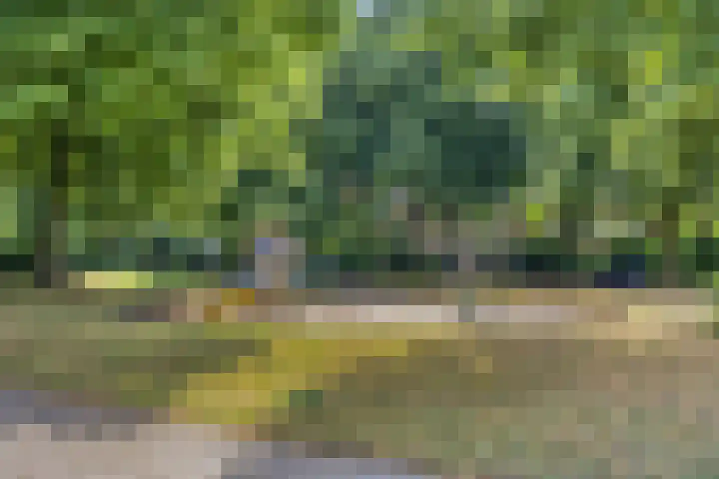 Smetsakker 5 Eindhoven thumbnail 39