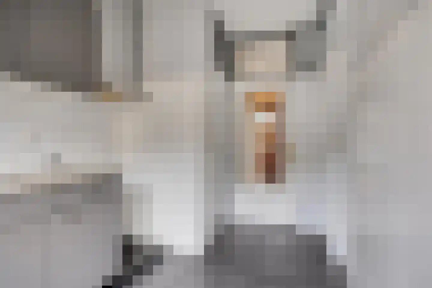 Smetsakker 5 Eindhoven thumbnail 9