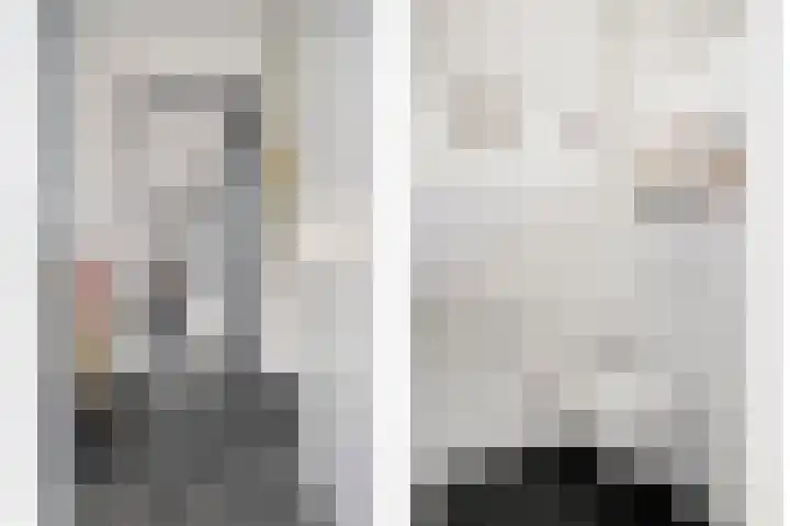 Smidsakker 13 Heteren thumbnail 10