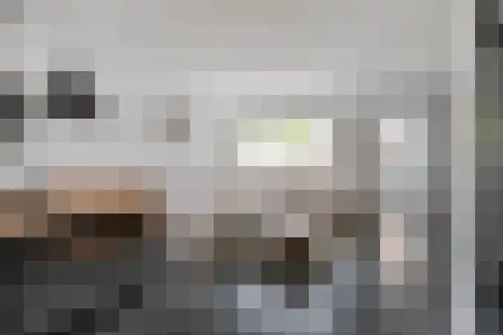 Smidsakker 13 Heteren thumbnail 11