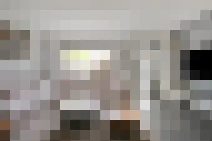 Smidsakker 13 Heteren thumbnail 12