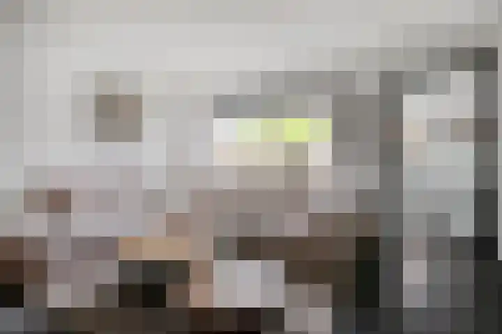 Smidsakker 13 Heteren thumbnail 13