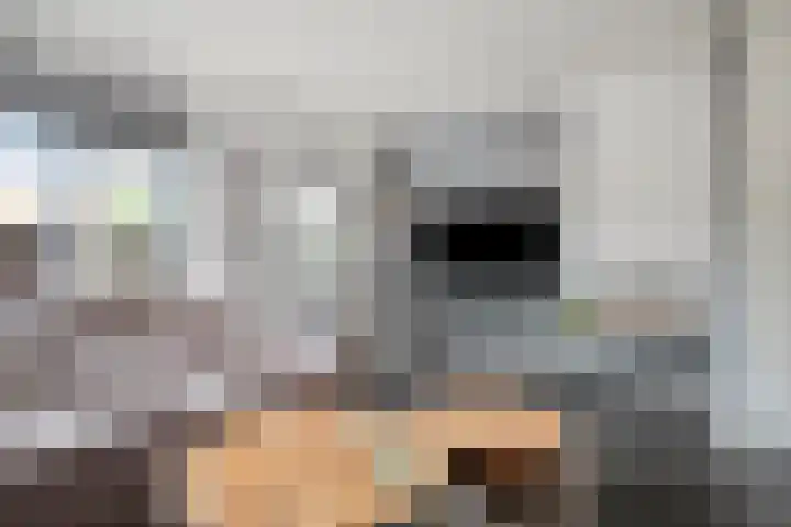Smidsakker 13 Heteren thumbnail 14