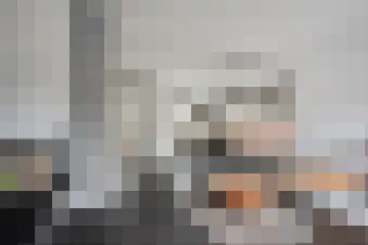 Smidsakker 13 Heteren thumbnail 15
