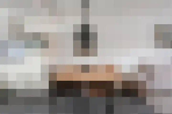Smidsakker 13 Heteren thumbnail 16