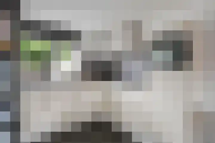 Smidsakker 13 Heteren thumbnail 17