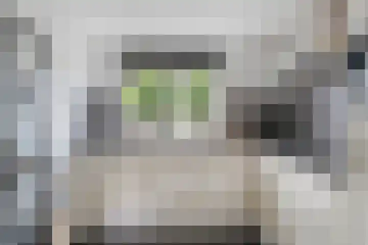 Smidsakker 13 Heteren thumbnail 18
