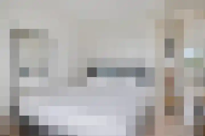 Smidsakker 13 Heteren thumbnail 24