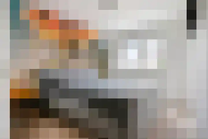 Smidsakker 13 Heteren thumbnail 25